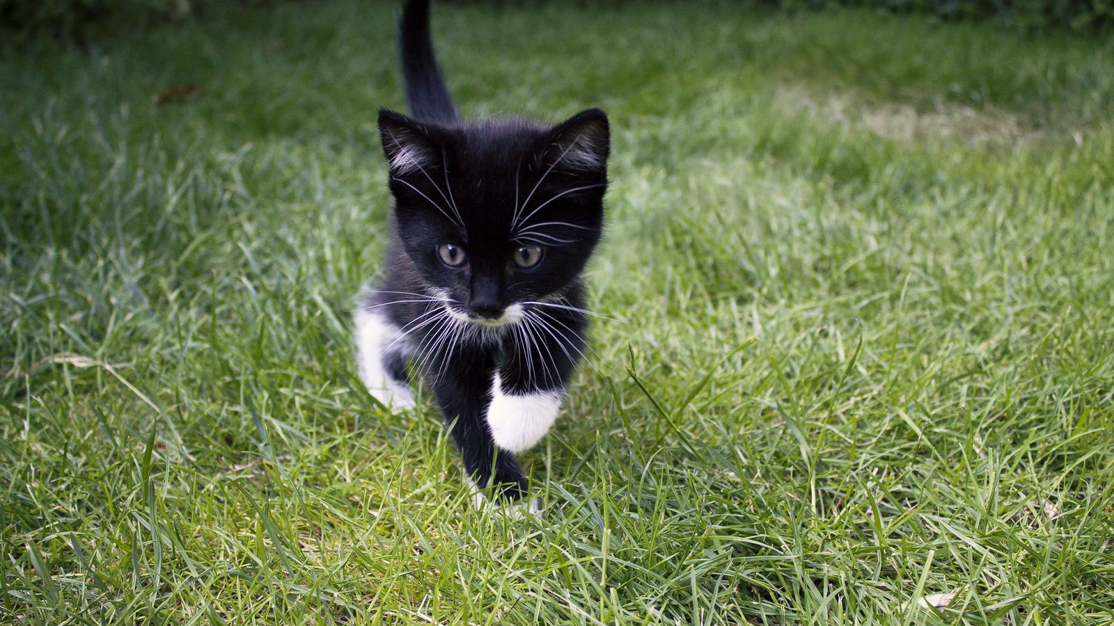 Lorem ipsum dolor sit amet consectetur adipiscing elit