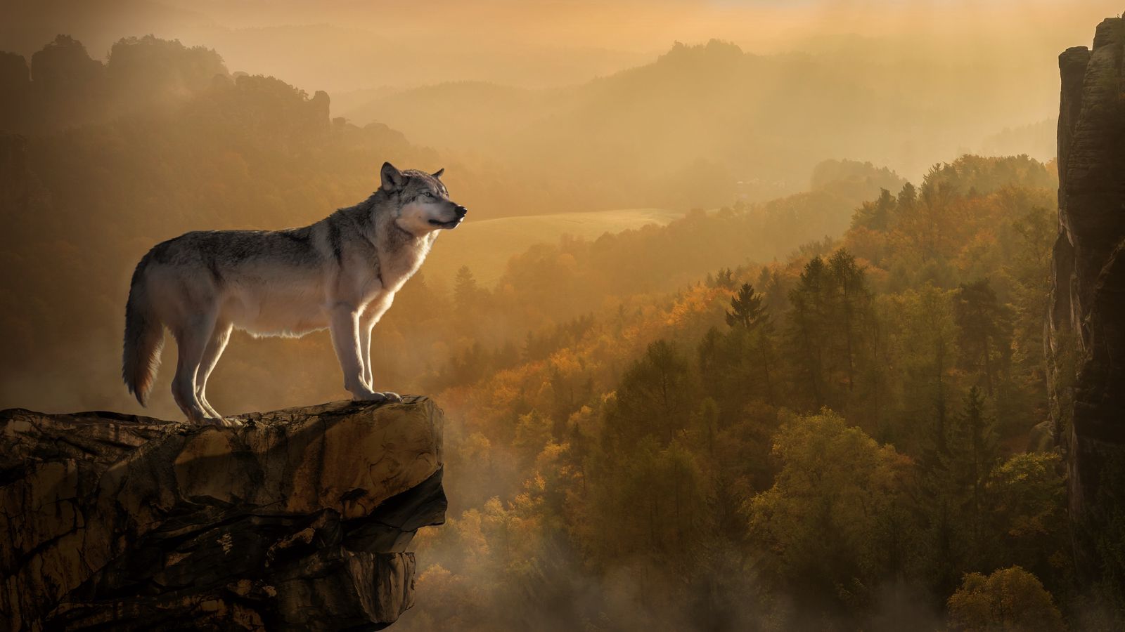 Lorem ipsum dolor sit amet consectetur adipiscing elit